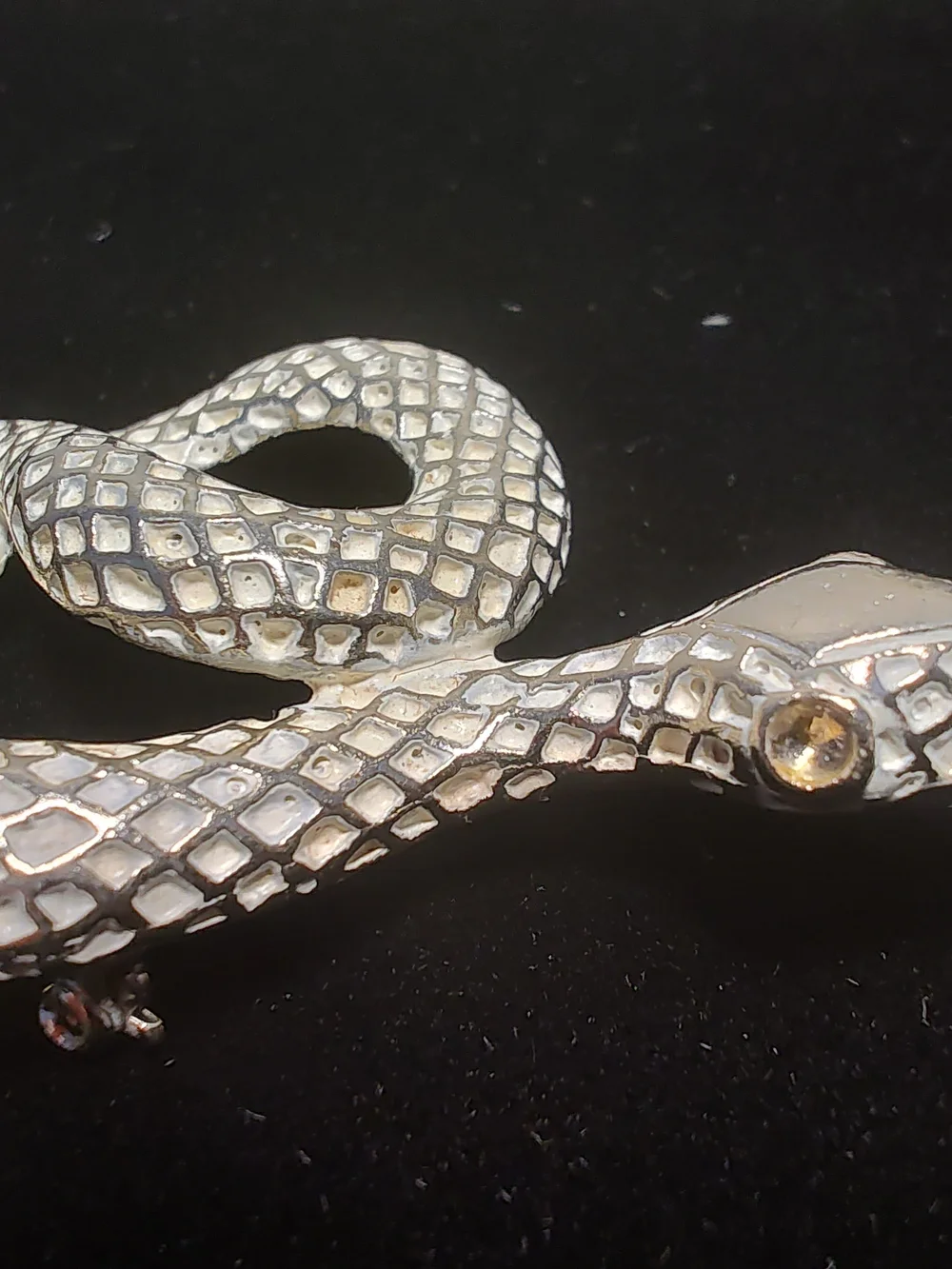 Source Unknown elegant snake
